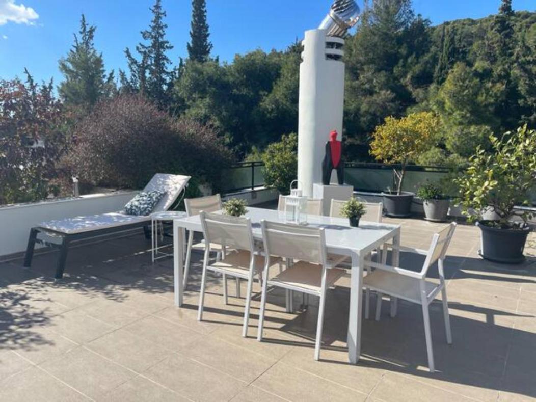 Athens Lycabettus Hill Penthouse, Private Roof Garden & Pool公寓 外观 照片
