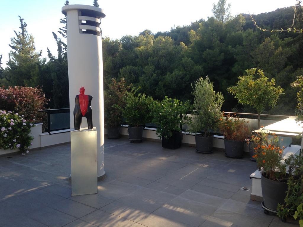 Athens Lycabettus Hill Penthouse, Private Roof Garden & Pool公寓 外观 照片